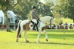 SBM_59311