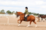 SBM_15504