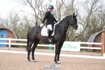 Class 4, Novice Gold portfolio