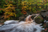Padley Gorge