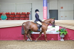 SBM_11781