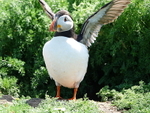 DSC00331