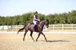 SBM_006618