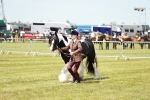 SBM_04242