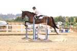 SBM_001803