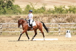 SBM_002864