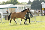 SBM_02081