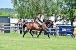 SBM_17387