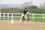 SBM_006305