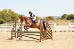 SBM_003978