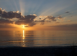 SunBeachWatr 085