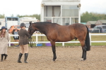 SBM_07881