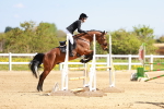 SBM_001495