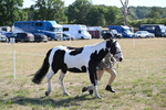 WJ6_7508