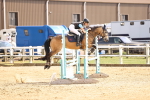 SBM_001595