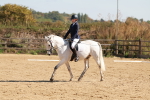 SBM_010517
