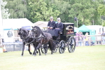 SBM_07004