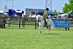SBM_03815