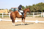 SBM_007526