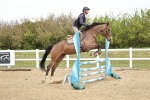 Class 2 - Senior British Novice - 90cm portfolio