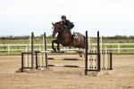 SBM_006630