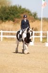 SBM_016728