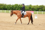 SBM_004913