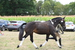 WJ6_6251