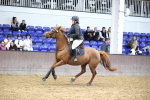SBM_002199