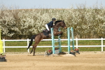SBM_002829