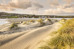 Newport Sand Dunes