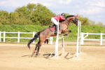 SBM_002396