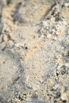 251004A-163912-02154