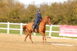 SBM_001838