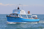 180711 CORAL STAR 1Y3A1280