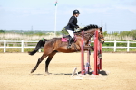 SBM_007313