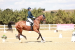 SBM_019228