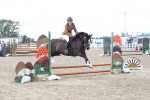 SBM_12201