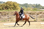 SBM_001742