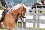 SBM_08464