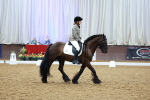 SBM_002304