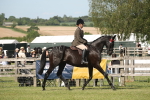 SBM_09526