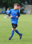 Soccer Bees Under 7 and Under 8 portfolio