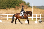 SBM_017672