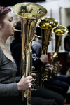 Picturing the Orchestral Family portfolio
