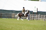 SBM_17290