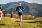 Sale Fell-389