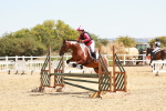 SBM_003895