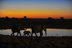 Namibia portfolio