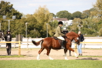 SBM_50048